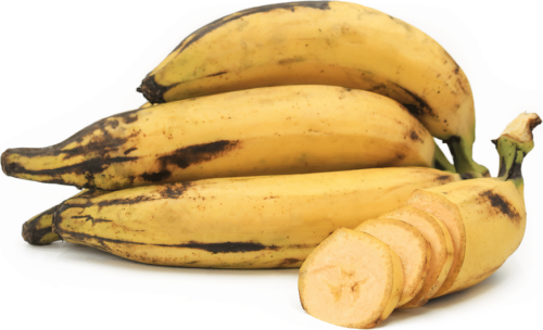 Plantain banana bunch with one sliced